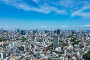 Fototapeta na wymiar (東京都-都市風景)高層ビルラウンジから望む晴海･お台場方面の風景１