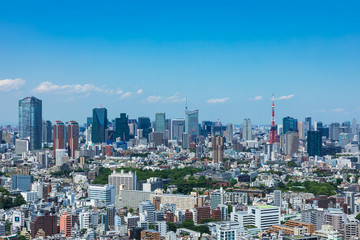Fototapeta na wymiar (東京都-都市風景)高層ビルラウンジから望む芝方面の風景４