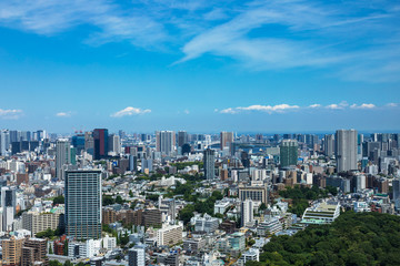 Fototapeta na wymiar (東京都-都市風景)高層ビルラウンジから望む晴海･お台場方面の風景２