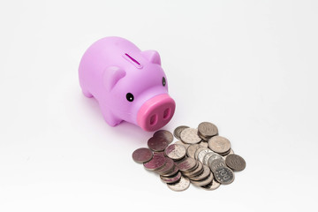Piggy bank on the coin concept business financial 