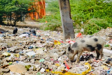 インドのデリー近郊のゴミの無法地帯