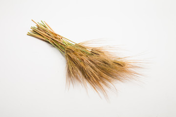 Bunch of wheat spike barley on white background