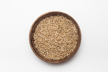 Barley grains in wooden plate isolated