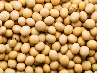  Background view of dried soy beans 