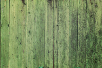 Surface of an empty green wooden background.
