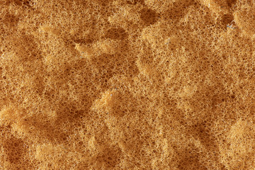 Macro image of sponge