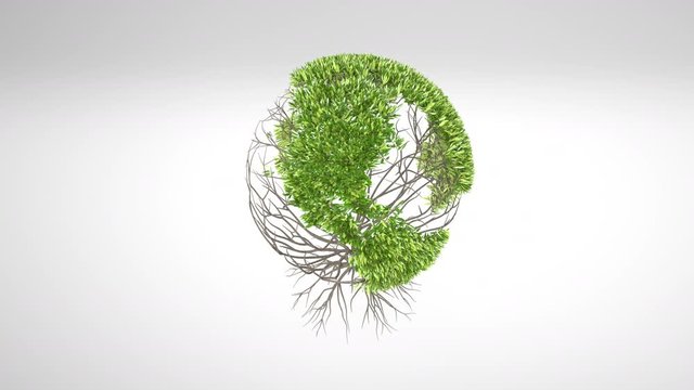 Growing tree, forming globe shape with leaves. 3D rendering.