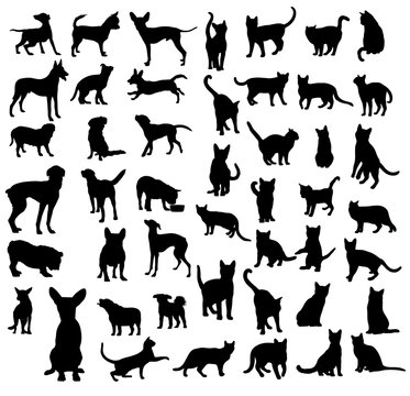 Pet Animal Silhouettes, art vector design 