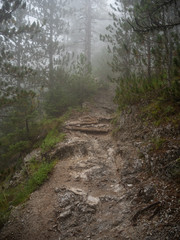 A fascinating and difficult walk while climbing Mount Olympus in Greece