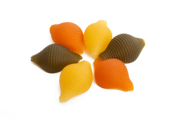 italian pasta isolated