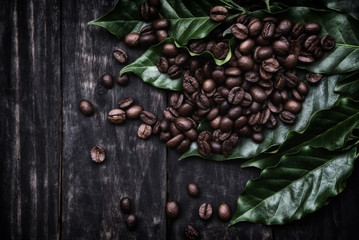 Coffee beans on leaf / Roasted coffee on dark wooden table background