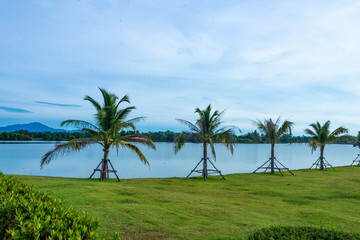 Naklejka premium Walailak university park Nakhonsithammarat , Thailand.