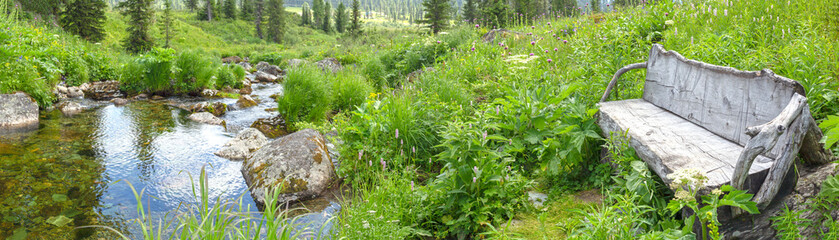 wooden bench in the forest