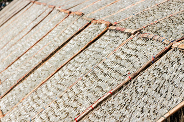 Dried fish. The preserved fishes, cut and clean the fishes lay on a net then dry in the sun light at the fishing village 
