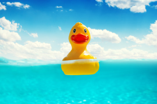 Rubber duckling floating in water. Summer vacation.