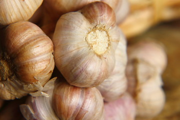 Spicy cooking ingredient garlic for thai food