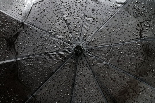 Black Umbrella With Rain Drops