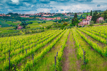 Fototapeta na wymiar Wonderful cityscape with green vineyard and cloudy sky, Tuscany, Italy