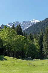 Fototapeta na wymiar Marguareis Group, Ligurian Alps, Piedmont, Italy