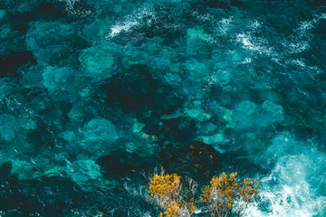Crystal clear waters of Australian oceans