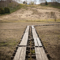 湿地の遊歩道