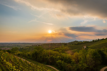 Evening storm in the vineyards