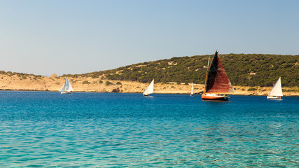 Obraz premium regatta in a bay in Croatia