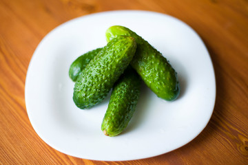 fresh little cucumbers in a plate, mini gherkins close-up