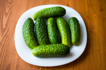 fresh little cucumbers in a plate, mini gherkins close-up