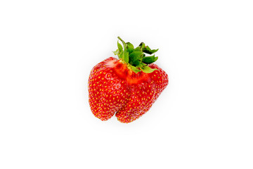 Organic Strawberry Isolated. Imperfect Non Ideal Fresh Fruit. Food Closeup. Natural Berry Isolated on White. Vegetarian Raw Diet Nutrition Ingridient. Health Dessert or Breakfast. Hairoom Agriculture