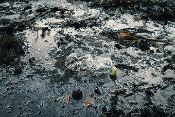 Bottle plastic in the river,environment  issue and pollution in water concept.