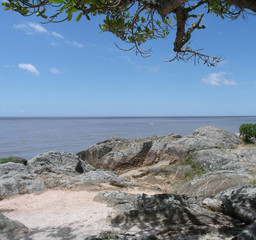 coast of the lagoon