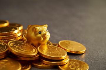 Gold pig object with coins