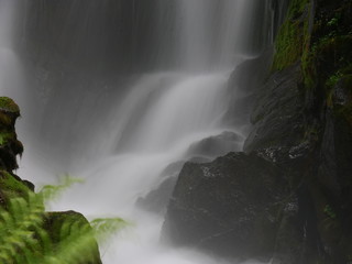 waterfall in forest