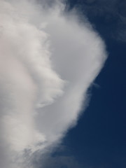 夏空に浮かぶ雲