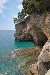Fototapeta na wymiar sheer cliffs with trees ocean in a bright sunny day.
