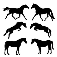 Seth silhouettes of black and white horses. vector