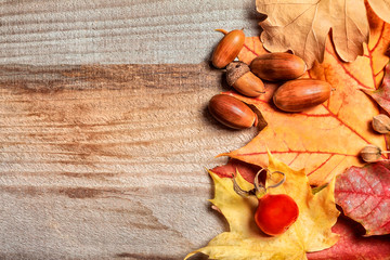 Autumn acorns maple leaves on wooden background.