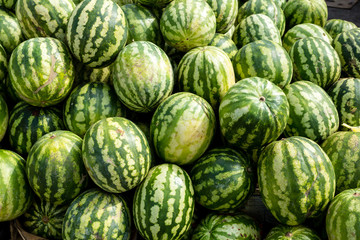 Fresh organic watermelons on the farmers market. Close-up watermelon background. Healthy vegan food.
