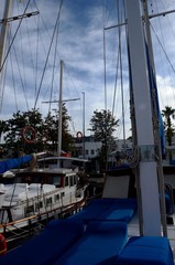 Marina de Bodrum (Turquie)