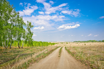Fototapeta na wymiar Field dirt road among the fields and birch forests in the rays of the sun in early spring. The concept of travel and adventure.