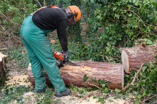 Mann zersägt Bäume nach Unwetter Forstarbeiter