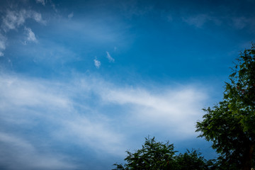 Obraz na płótnie Canvas blue sky with clouds and birds