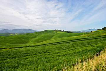 Fototapeta na wymiar Beautiful spring evening froggy landscape in Tuscany
