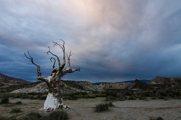 Desierto de Tabernas