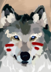 Wolf
