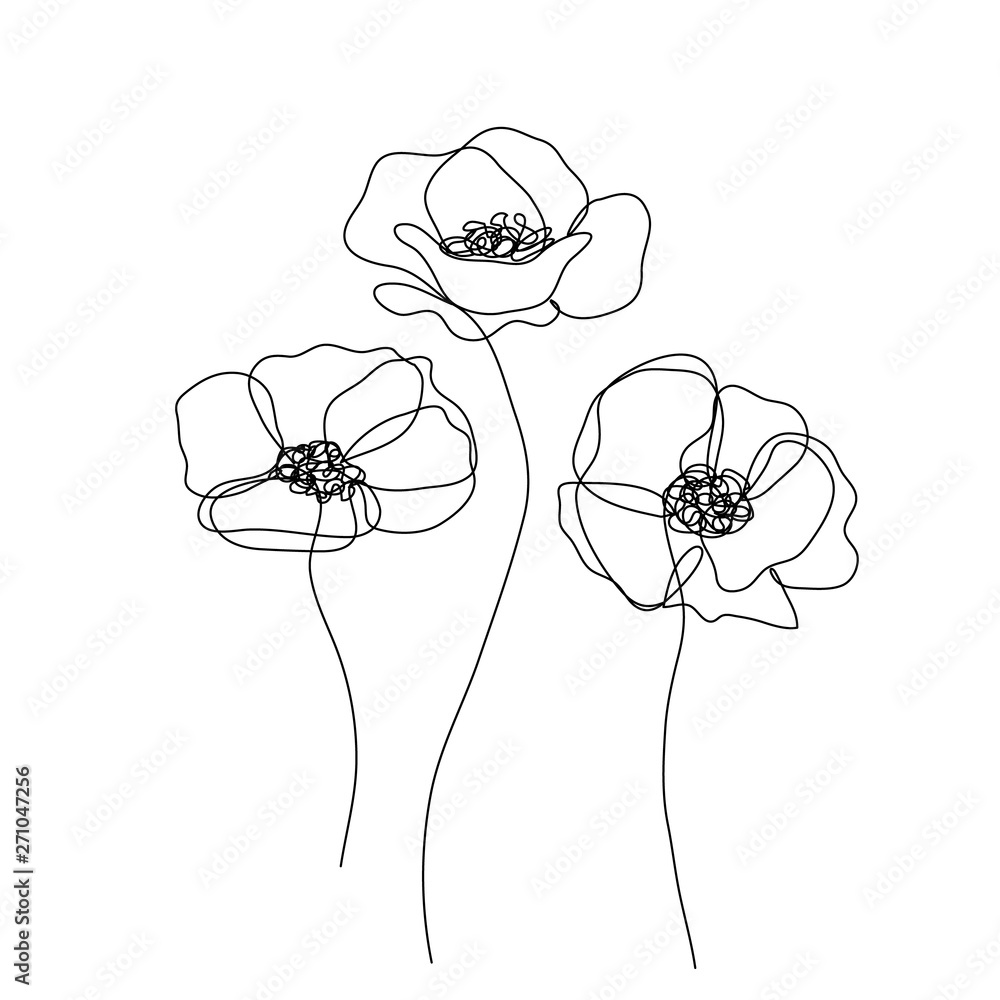 Wall mural Abstract poppies flower. Continuous line drawing. Minimalist  modern art. Editable line.