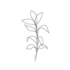 Abstract botanic leaves. One line drawing plant. Minimalist art