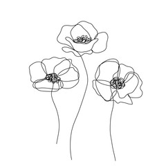 Abstract poppies flower. Continuous line drawing. Minimalist  modern art. Editable line. - obrazy, fototapety, plakaty