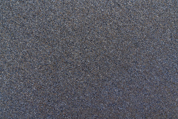 Shredded shells background of seashore.